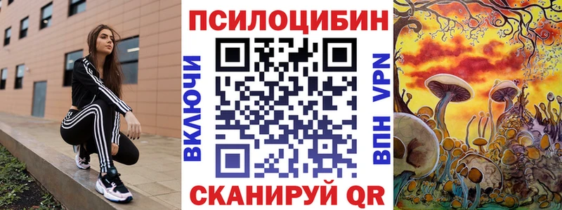 Псилоцибиновые грибы Psilocybe Тверь